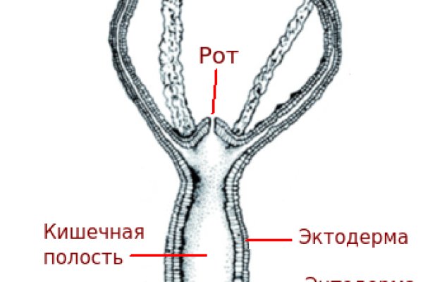 Где найти ссылку кракен