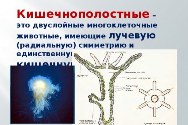 Кракен нар шоп